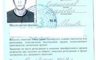 Как не нарушить закон при перевозке оружия в машине