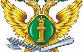 Как не купить кредитный автомобиль