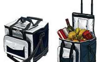 Выбор лучшего автомобильного холодильника на каждый день