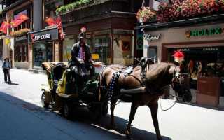 Интересные факты о ПДД со всего мира