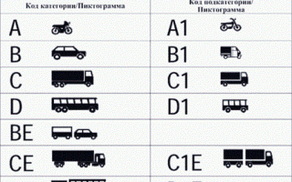 Категория B: как получить и какие машины можно водить