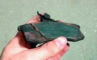 Почему скрипят тормозные колодки