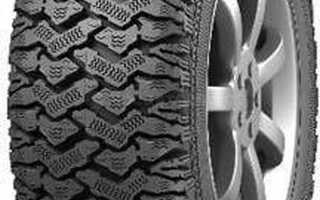 О шинах Медведь