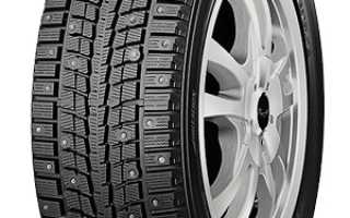 Обзор зимней резины Dunlop