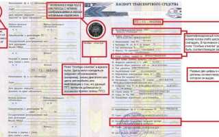 Что такое машины-двойники и как на них не попасть