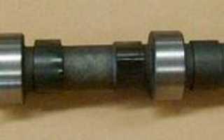 Great Wall Deer (2004-2007) – излом времени в истории