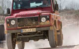 Породистые проходимцы: их история