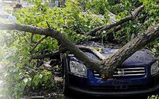 Как правильно оформить страховку от угона