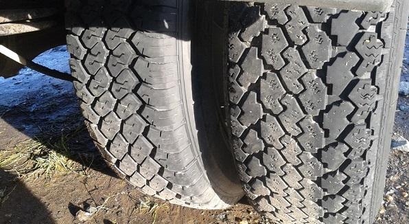 Разношинница