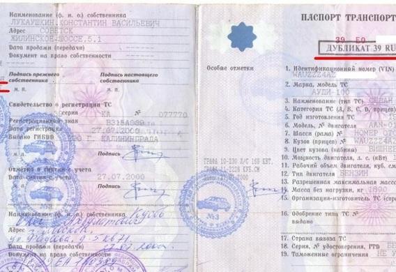 дубликат птс