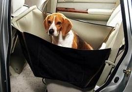перевозка собак в машине ПДД