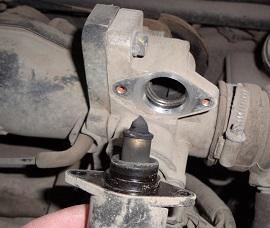 грязный рхх