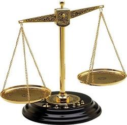 кто виноват если на машину упало дерево