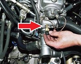 месторасположение ДТОЖ