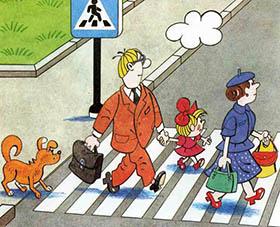 зебра на дороге