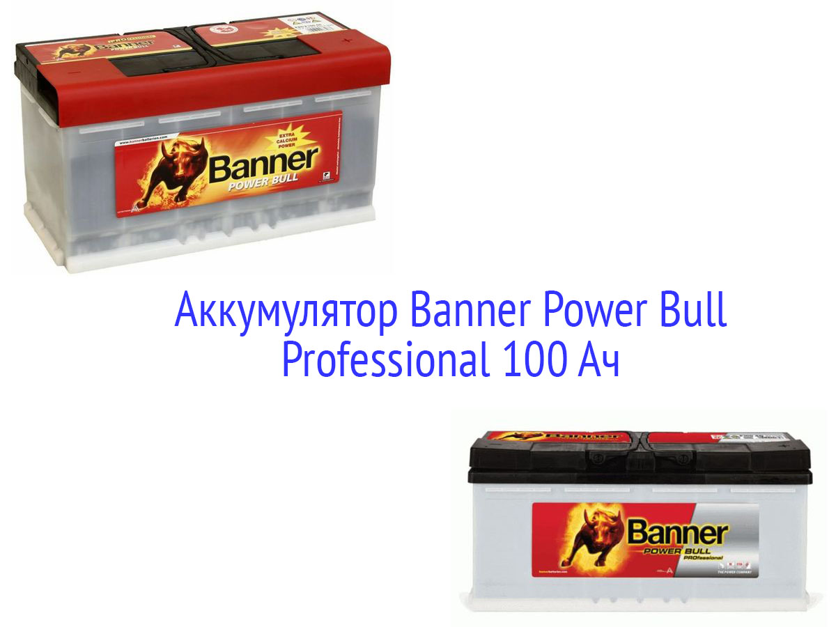 АКБ Banner Power Bull Professional 100 Ач
