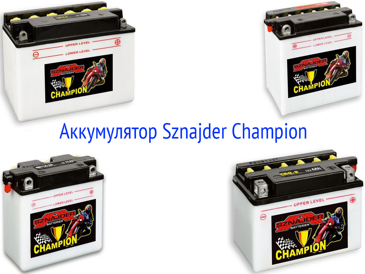 Аккумуляторная батарея Sznajder Champion