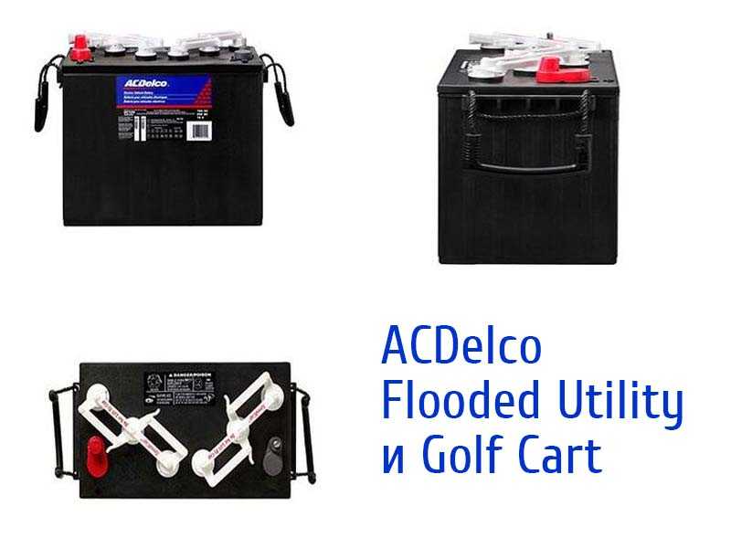 ACDelco Flooded Utility и Golf Cart
