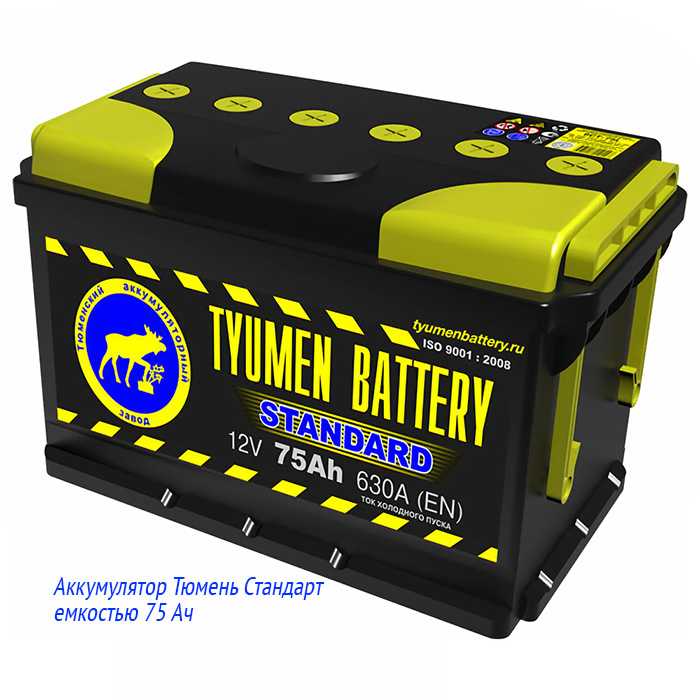 Аккумуляторная батарея Тюмень Стандарт 75 Ач