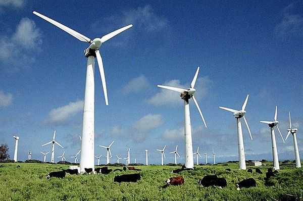 Поля ветрогенераторов