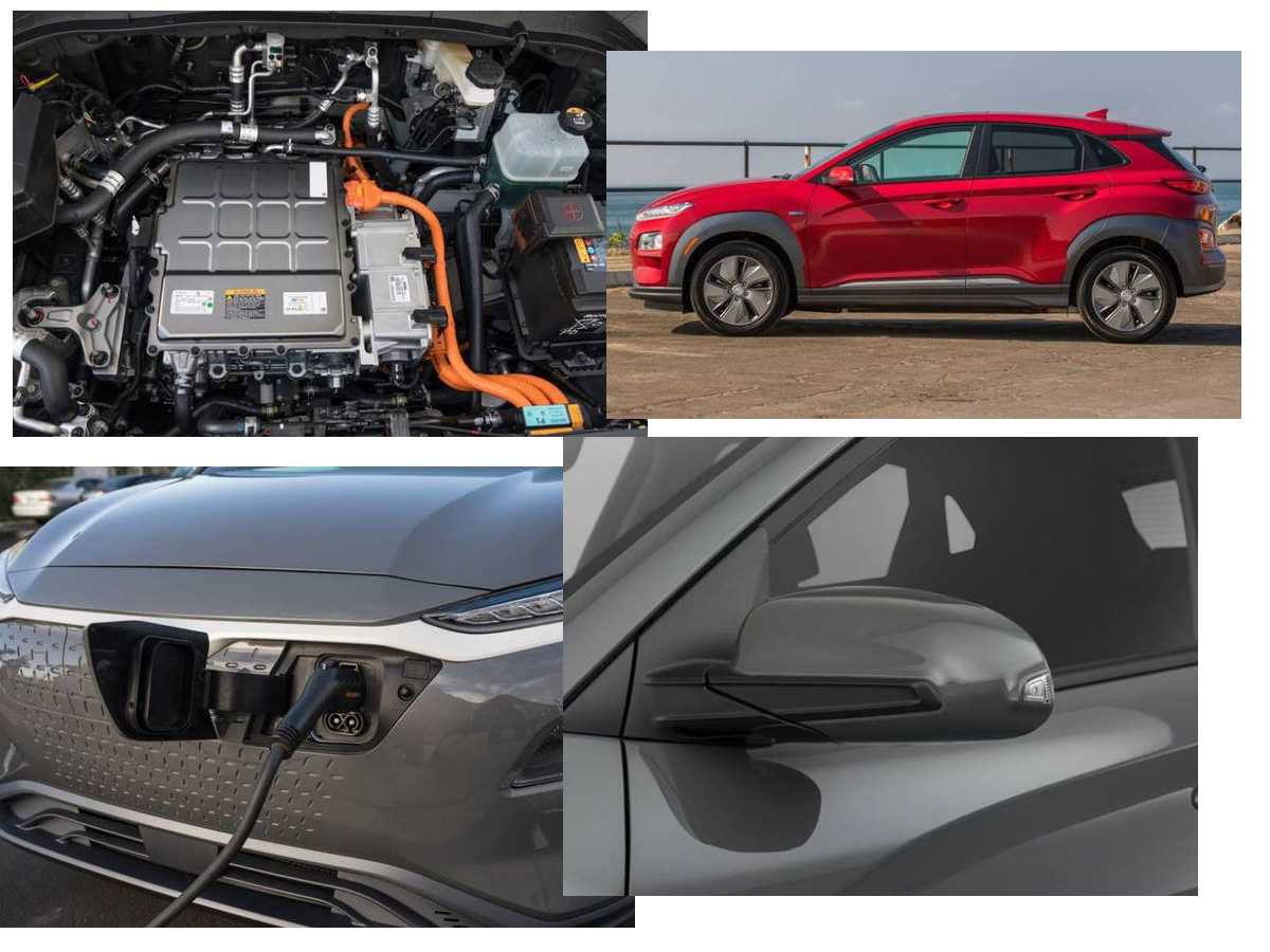 Внешний вид