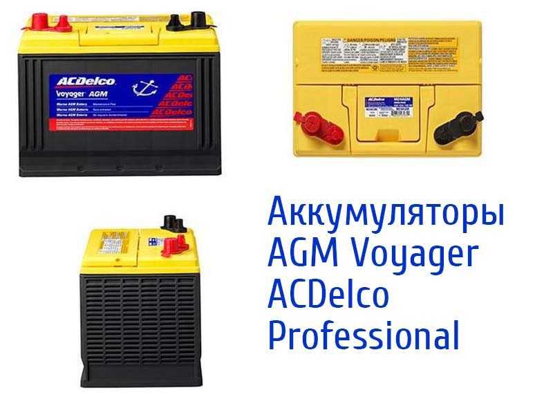 AGM Voyager ACDelco Professional