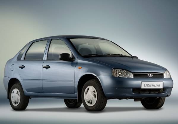 Калина Стильная Калина