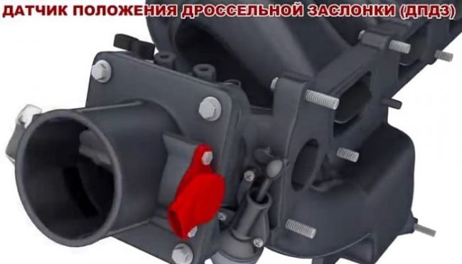 дпдз