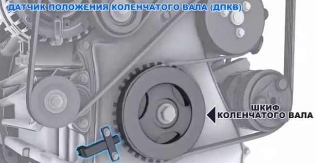 дпкв