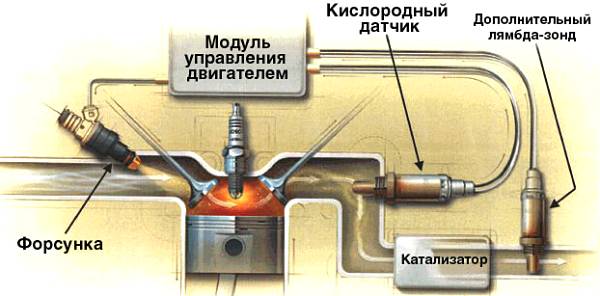 два кислородных датчика