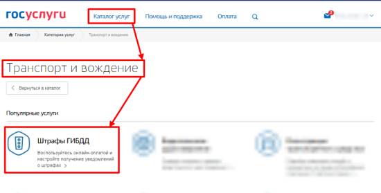 сайт госуслуг